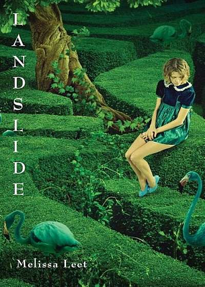 Landslide, Paperback
