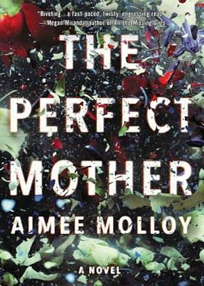 The Perfect Mother, Hardcover