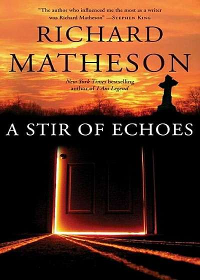 A Stir of Echoes, Paperback