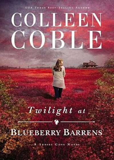Twilight at Blueberry Barrens, Paperback