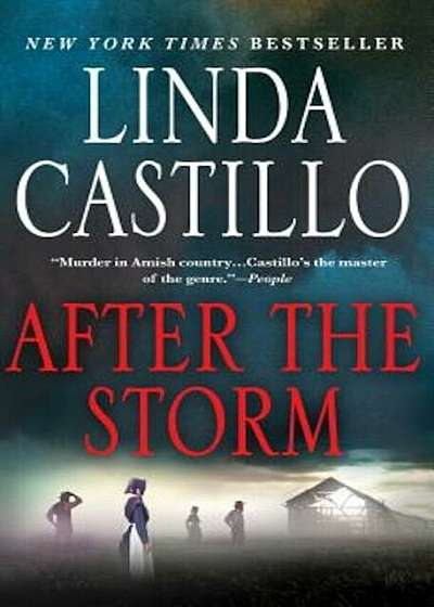 After the Storm, Paperback