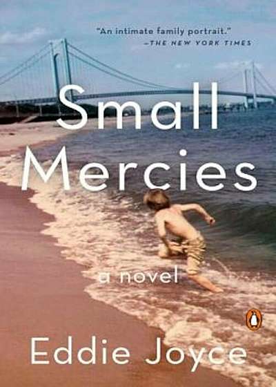 Small Mercies, Paperback