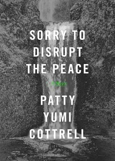 Sorry to Disrupt the Peace, Hardcover