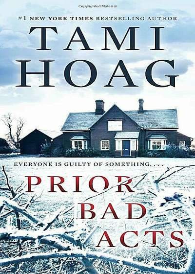 Prior Bad Acts, Paperback