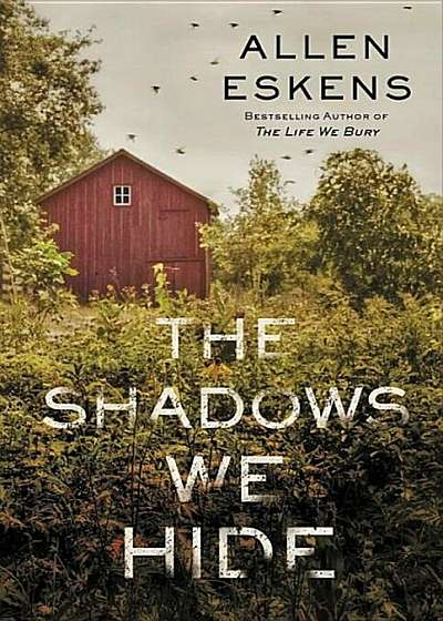 The Shadows We Hide, Hardcover