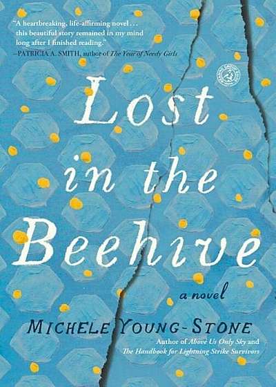 Lost in the Beehive, Paperback
