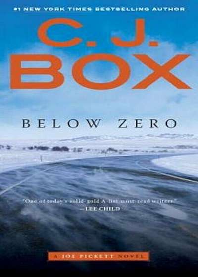 Below Zero, Paperback