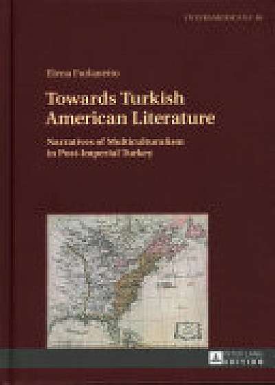 Towards Turkish American Literature