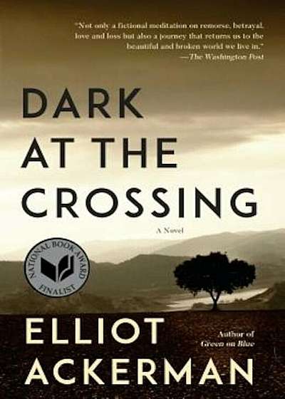 Dark at the Crossing, Paperback