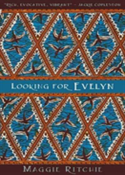 Looking for Evelyn