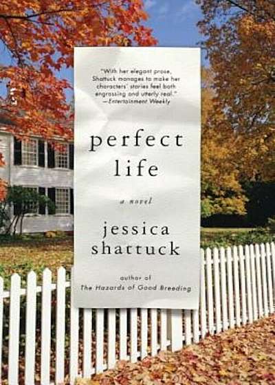 Perfect Life, Paperback