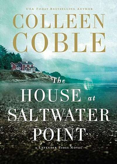 The House at Saltwater Point, Hardcover