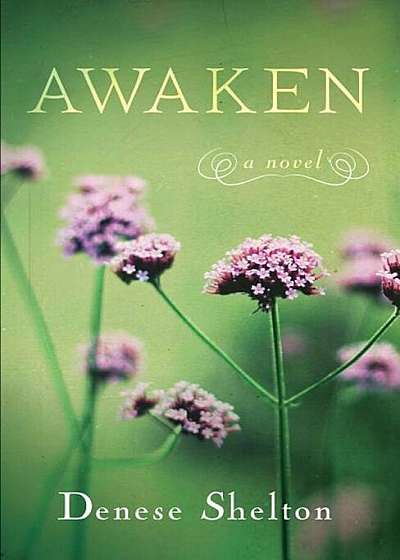 Awaken, Paperback