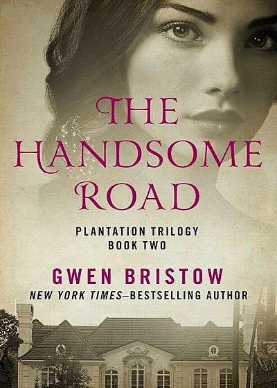 The Handsome Road, Paperback