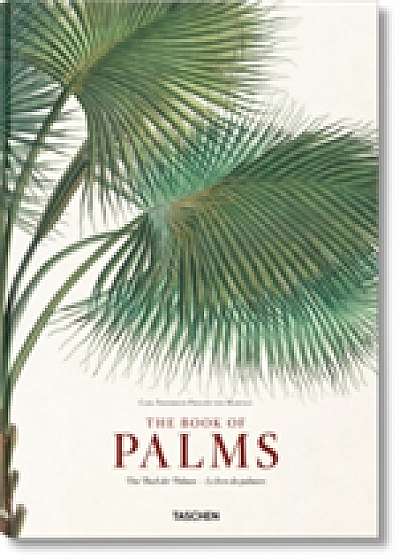 Coperta cărții Martius: The Book of Palms
