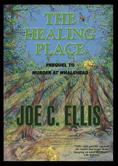 The Healing Place--Prequel to Murder at Whalehead, Paperback