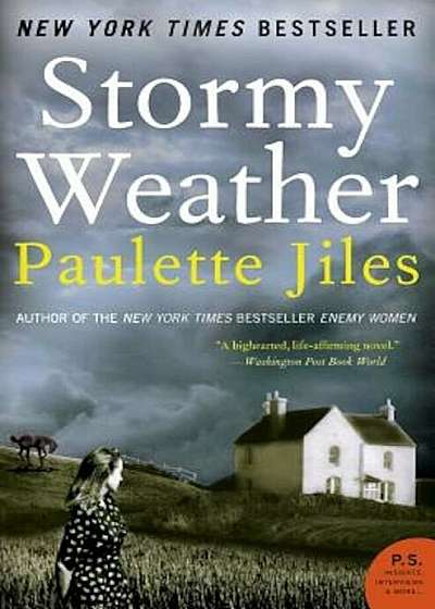 Stormy Weather, Paperback