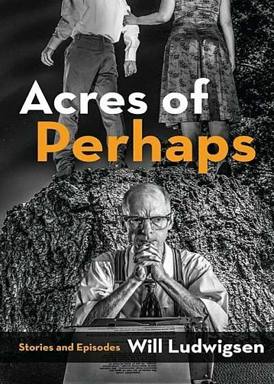 Acres of Perhaps, Paperback