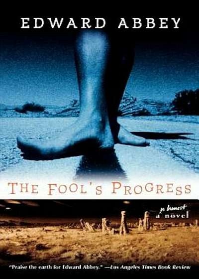 The Fool's Progress: An Honest Novel, Paperback
