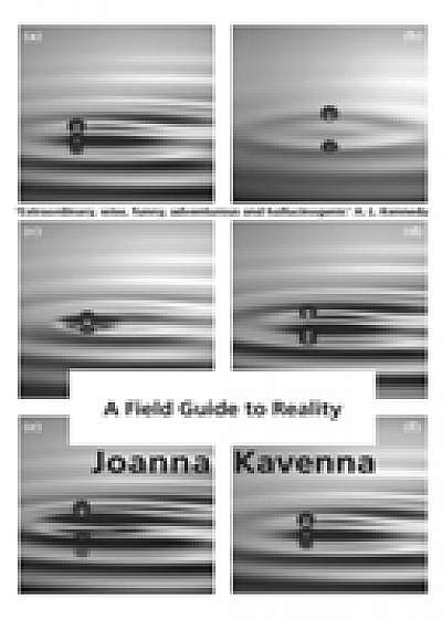 Coperta cărții A Field Guide to Reality