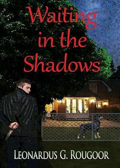 Waiting in the Shadows, Paperback