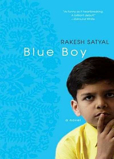 Blue Boy, Paperback