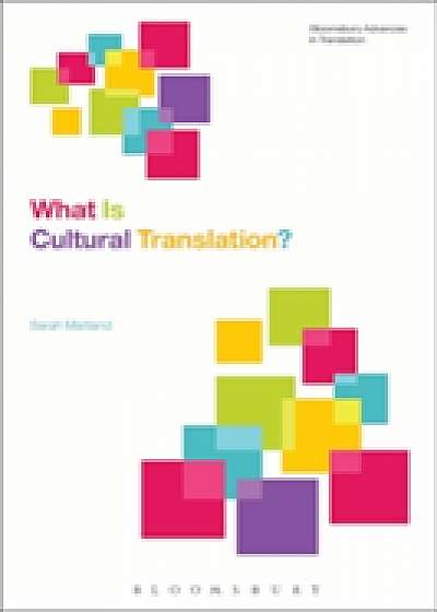 Coperta cărții What Is Cultural Translation?
