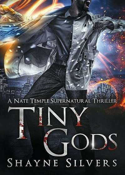 Tiny Gods: A Nate Temple Supernatural Thriller Book 6, Paperback