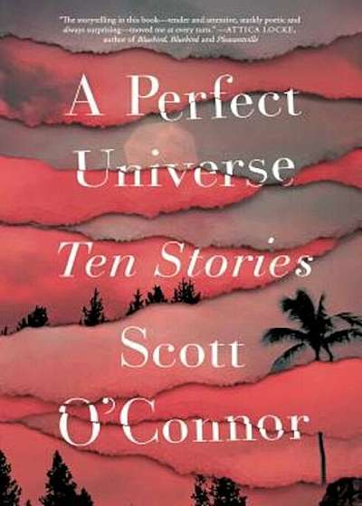 A Perfect Universe: Ten Stories, Hardcover