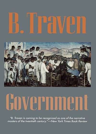 Government, Paperback