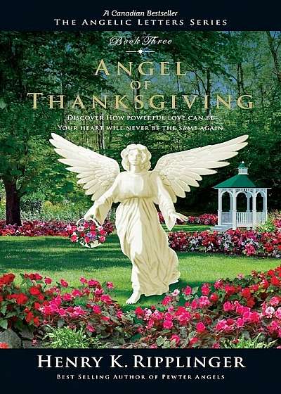 Angel of Thanksgiving, Paperback
