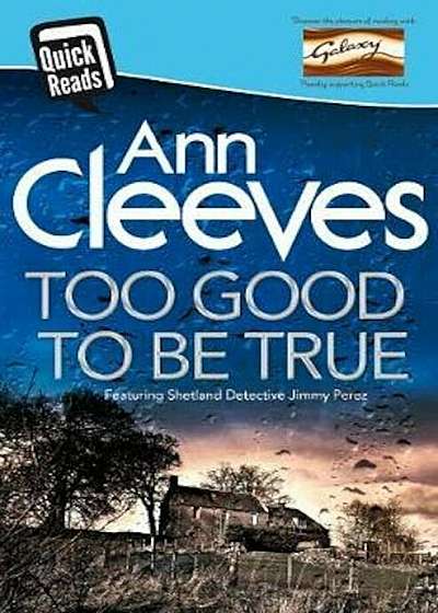 Too Good To Be True, Paperback
