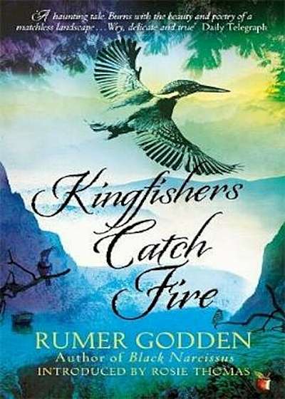 Kingfishers Catch Fire, Paperback