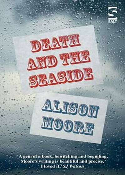 Death and the Seaside, Paperback