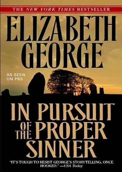 In Pursuit of the Proper Sinner, Paperback