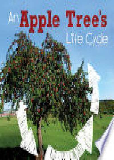 An Apple Tree's Life Cycle