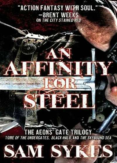 An Affinity for Steel: The Aeons' Gate Trilogy, Paperback