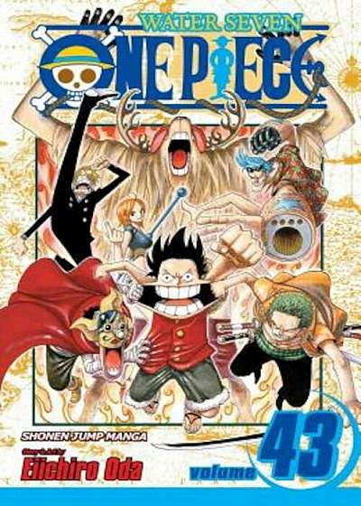 One Piece, Volume 43: Legend of a Hero, Paperback