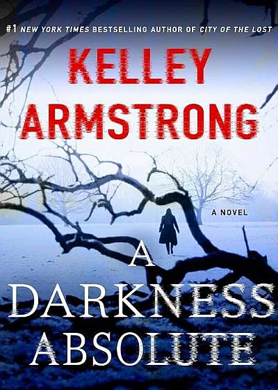 A Darkness Absolute: A Rockton Novel, Paperback