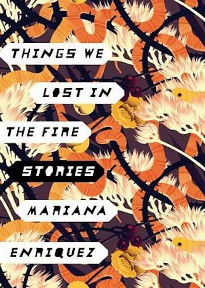 Things We Lost in the Fire: Stories, Hardcover