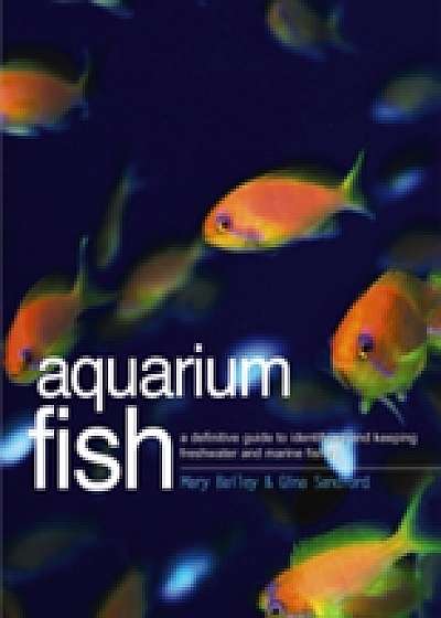 Coperta cărții Aquarium Fish
