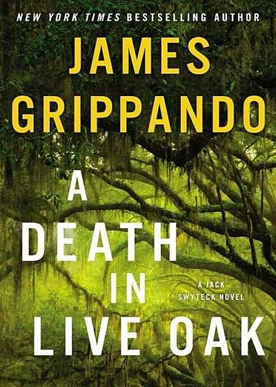A Death in Live Oak: A Jack Swyteck Novel, Hardcover