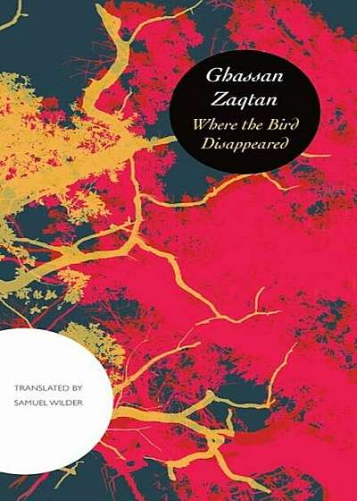 Where the Bird Disappeared, Hardcover