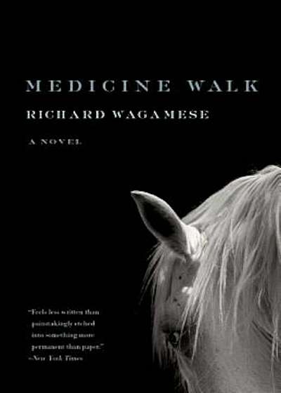 Medicine Walk, Paperback