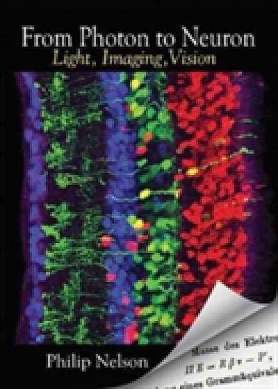 Coperta cărții From Photon to Neuron
