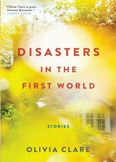 Disasters in the First World: Stories, Paperback