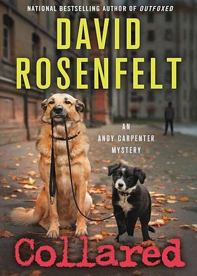 Collared: An Andy Carpenter Mystery, Paperback