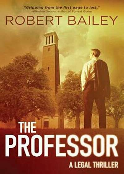 The Professor, Paperback