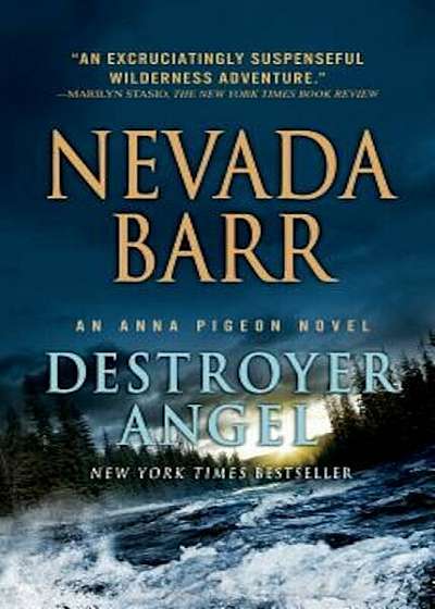 Destroyer Angel, Paperback