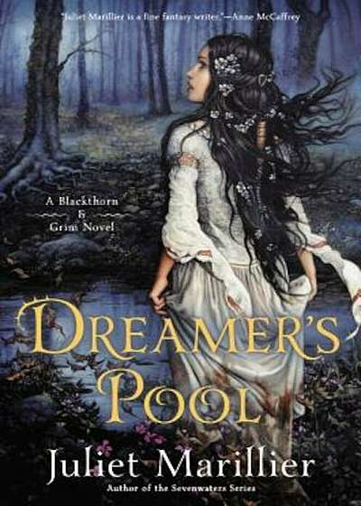 Dreamer's Pool, Hardcover